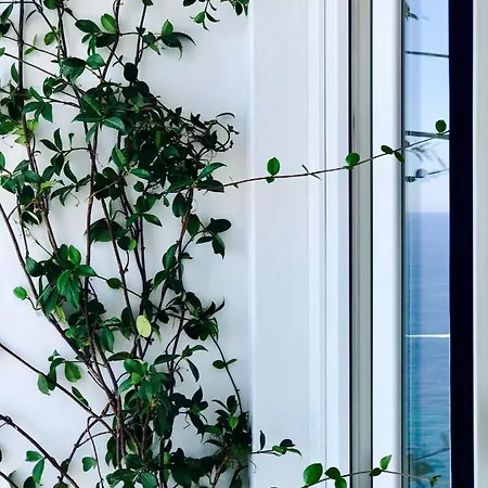 Les Lilas Aparthotel 4*