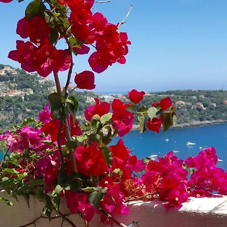 Apartahotel Les Lilas