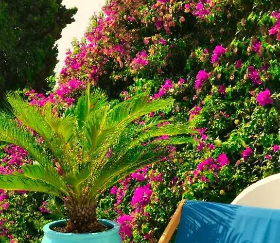 Les Lilas Hotel apartamentowy 4*